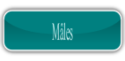 Mâles.